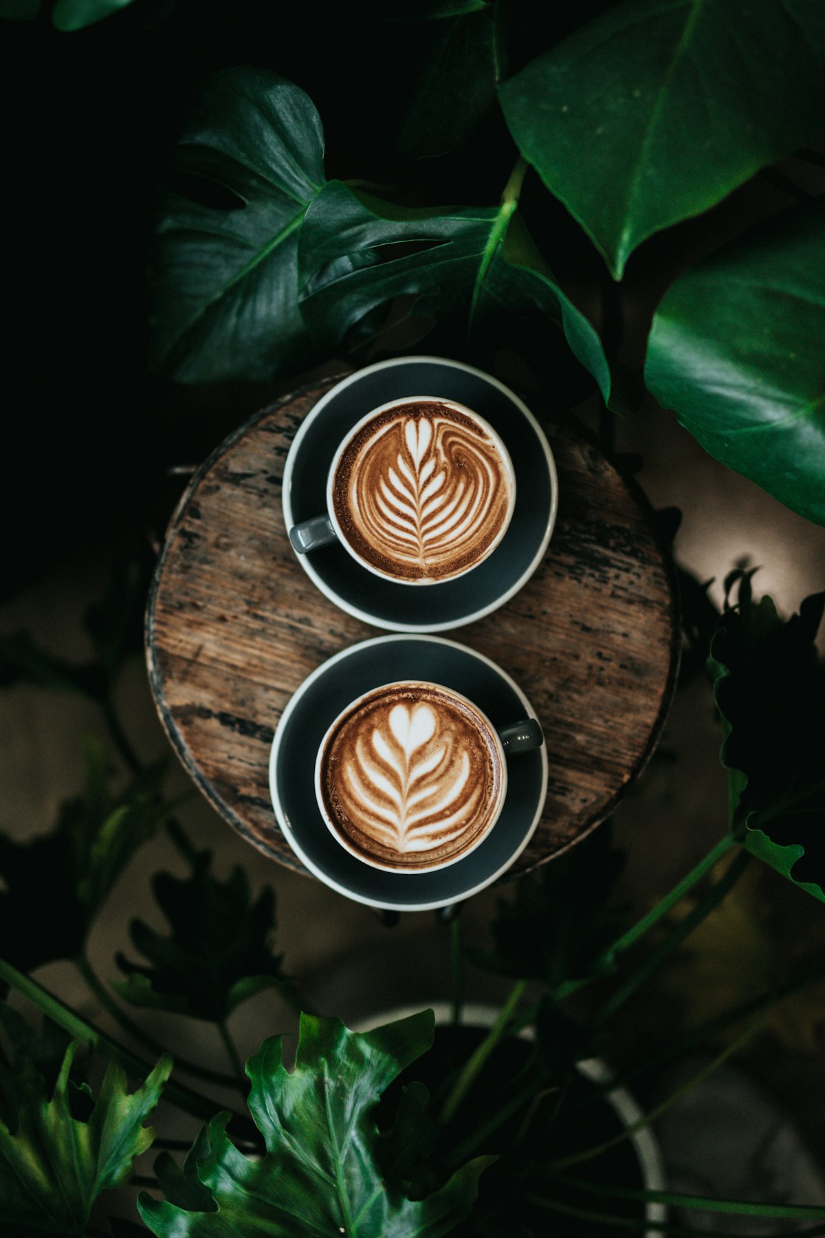 Cappuccino Caffè 2