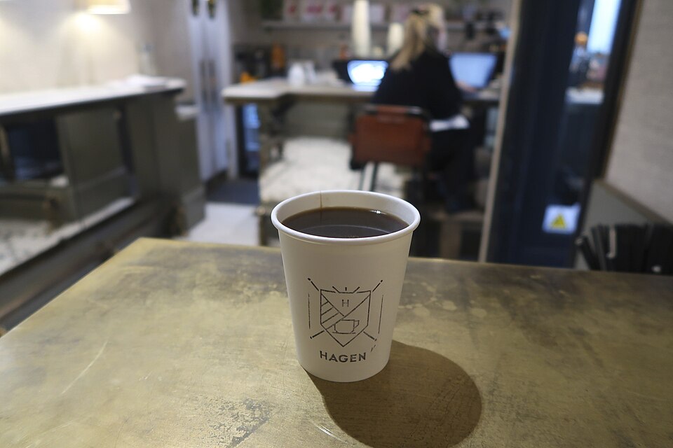 Filtro specialty coffee
