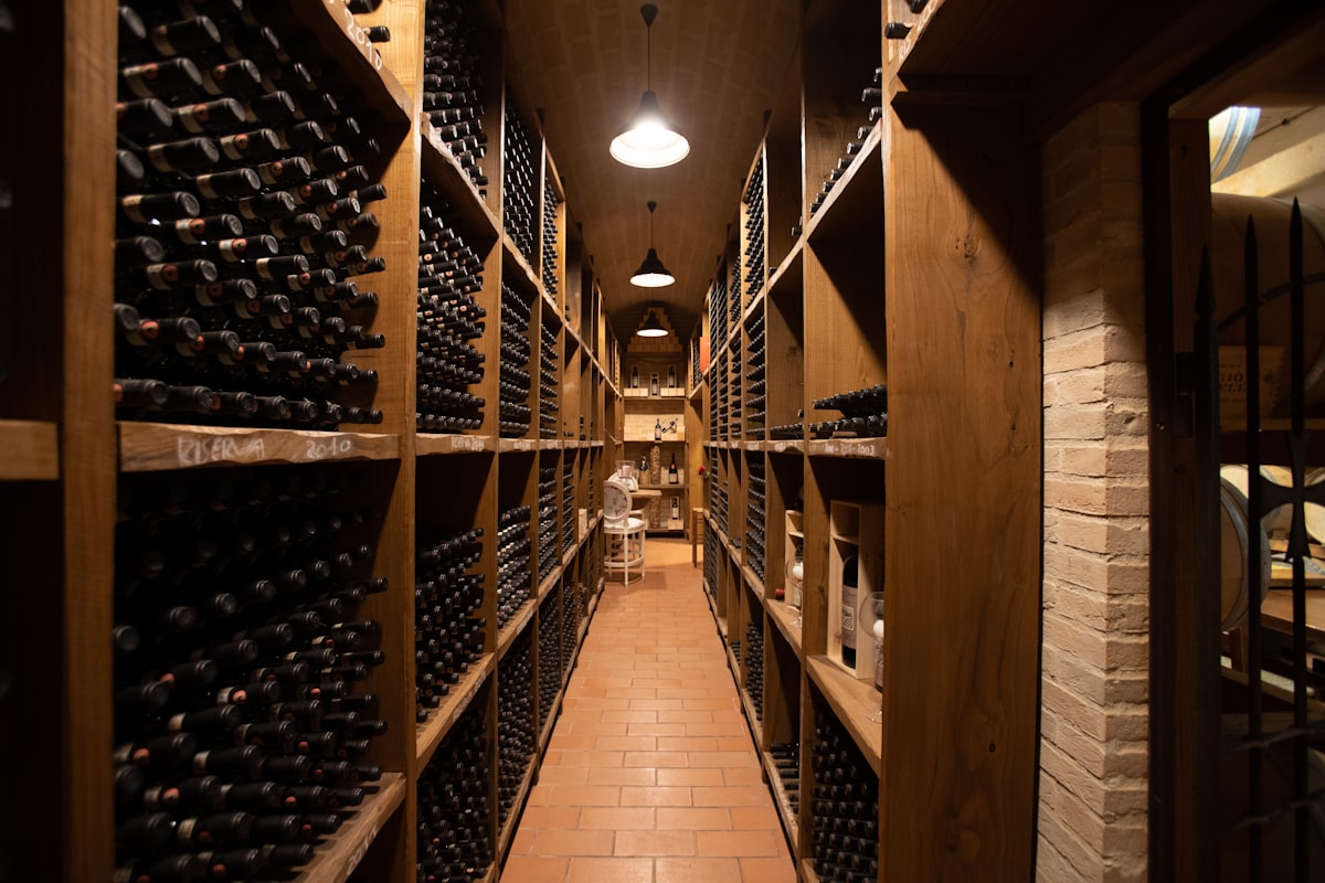 Cantina Il Vino, barrique nelle Langhe